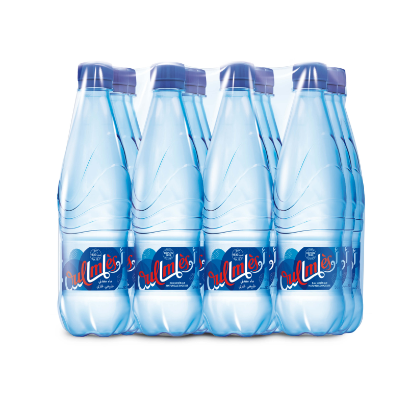 Oulmès pack 12x50cl - 2 sur 2